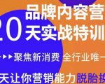 《内容营销实操特训营》20天让你营销能力脱胎换骨(价值3999)-铭创资源库