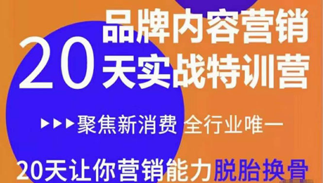 《内容营销实操特训营》20天让你营销能力脱胎换骨（价值3999）-铭创资源库