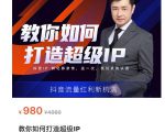 教你如何打造超级IP,抖音流量红利新机遇(价值980元)-铭创资源库