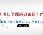 21天小红书涨粉变现营(第3期):带你掌握小红书爆款玩法,月赚10W+秘密-铭创资源库