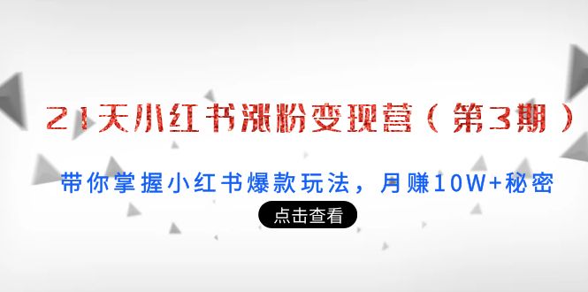 21天小红书涨粉变现营（第3期）：带你掌握小红书爆款玩法，月赚10W+秘密-铭创资源库