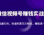 微信视频号赚钱实战:抓住流量红利,快速积累百万粉丝,赚取你的第一桶金-铭创资源库