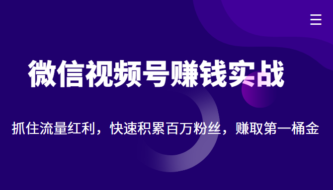 微信视频号赚钱实战：抓住流量红利，快速积累百万粉丝，赚取你的第一桶金-铭创资源库