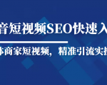 抖音短视频Seo搜索排名优化新手快速入门教程,实体商家短视频,精准引流实操课-铭创资源库