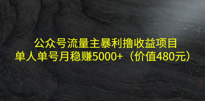 公众号流量主暴利撸收益项目，单人单号月稳赚5000+（价值480元）-铭创资源库