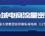 私域电商流量密码:千万级大佬教您如何做私域电商(12节课)-铭创资源库