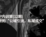 新媒体IP内训营(12期),一套全新的“公域引流,私域成交”IP打法,直接带走-铭创资源库