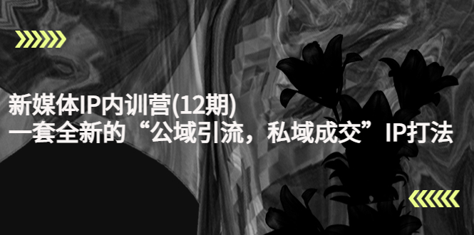 新媒体IP内训营(12期)，一套全新的“公域引流，私域成交”IP打法，直接带走-铭创资源库