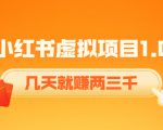 《小红书虚拟项目1.0》账号注册+养号+视频制作+引流+变现,几天就赚两三千-铭创资源库