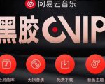 网易云音乐撸黑胶年卡及变现方法,收益可无限放大-铭创资源库
