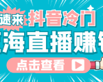 最新抖音冷门简单的蓝海直播赚钱玩法,流量大知道的人少,可做到全无人直播-铭创资源库