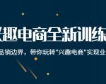 兴趣电商全新训练营:打破品销边界,带你玩转“兴趣电商“实现业务增长-铭创资源库