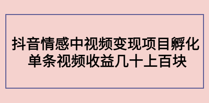 副业孵化营第5期：抖音情感中视频变现项目孵化 单条视频收益几十上百-铭创资源库