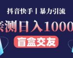 日收益1000+的交友盲盒副业丨有手就行的抖音快手暴力引流-铭创资源库