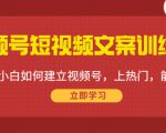 视频号短视频文案训练营:0基础小白如何建立视频号,上热门,能卖货!-铭创资源库