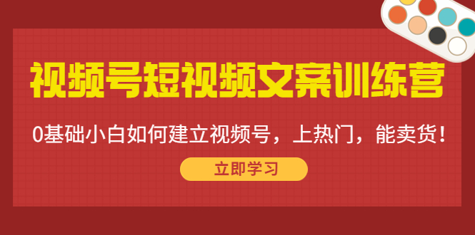 视频号短视频文案训练营：0基础小白如何建立视频号，上热门，能卖货！-铭创资源库