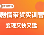 《剧情带货实训营》目前最好的直播带货方式,变起现来是又快又猛(价值980元)-铭创资源库