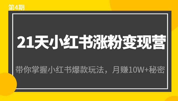 21天小红书涨粉变现营（第4期）：带你掌握小红书爆款玩法，月赚10W+秘密-铭创资源库
