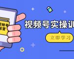 微信视频号实操训练营:视频号起号运营纯干货玩法!-铭创资源库