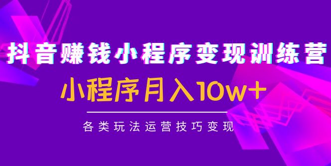 抖音赚钱小程序变现训练营：小程序月入10w+各类玩法运营技巧变现-铭创资源库