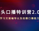 镜头口播特训营2.0版，学习文案编导以及拍摄口播能力（50节课时）-铭创资源库