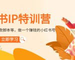 小红书IP特训营:从搭建-制作-爆款脚本等等,做一个赚钱的小红书号-铭创资源库