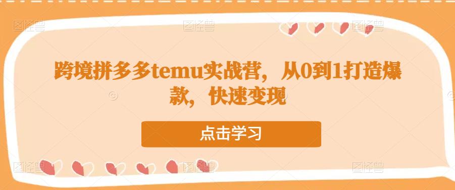 跨境拼多多temu实战营，从0到1打造爆款，快速变现-铭创资源库