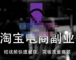 蓝Sir派·淘宝短视频快速起店,替代传统搜索方式,学会做一个不一样的淘宝店-铭创资源库