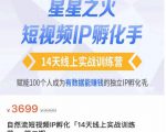 瑶瑶·自然流短视频IP孵化第二期，14天线上实战训练营，赋能100个人成为有数据能赚钱的独立IP孵化手-铭创资源库