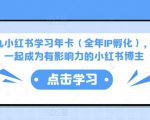 厦九九小红书学习年卡(全年IP孵化),沉浸式学习,一起成为有影响力的小红书博主-铭创资源库