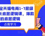 大圣淘宝天猫电商1-7层级盈利增长底层逻辑课,爆款的底层逻辑-铭创资源库