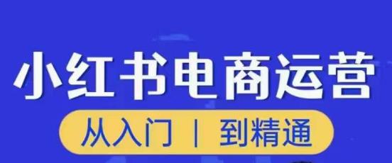 顽石小红书电商高阶运营课程，从入门到精通，玩法流程持续更新-铭创资源库