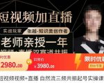 张越·短视频+直播,自然流三频共振起号实操课,短视频所有流量玩法讲解-铭创资源库
