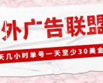 外面收费1980的最新国外LEAD广告联盟搬砖项目,单号一天至少30美金【详细玩法教程】-铭创资源库