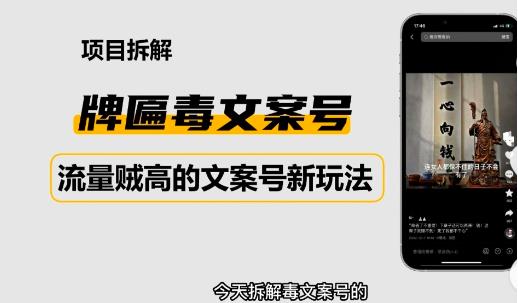 2023抖音快手毒文案新玩法，牌匾文案号，起号快易变现-铭创资源库