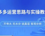 拼多多店铺运营思路与实操教程，快速学会拼多多开店和运营，少踩坑，多盈利-铭创资源库