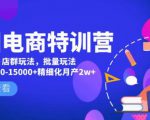 美团电商特训营:美团·店群玩法,无脑铺货月产出6000-15000+精细化月产2w+-铭创资源库