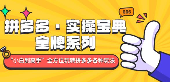拼多多·实操宝典：金牌系列“小白到高手”带你全方位玩转拼多多各种玩法-铭创资源库
