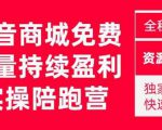 抖音商城搜索持续盈利陪跑成长营,抖音商城搜索从0-1、从1到10的全面解决方案-铭创资源库