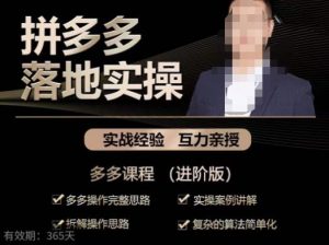 拼多多实战篇·落地实操:多多操作完整思路+实操案例讲解+拆解操作思路+复杂的算法简单化-铭创资源库