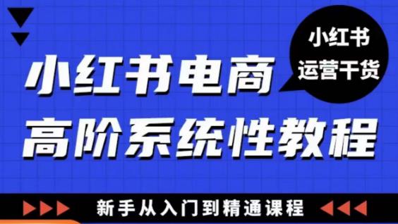 小红书电商高阶系统教程，新手从入门到精通系统课-铭创资源库