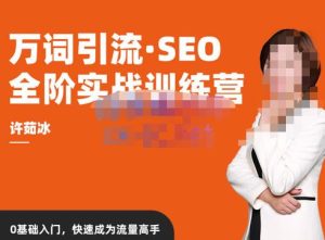 许茹冰·万词引流-SEO全阶实战训练营,0基础入门,快速成为流量高手-铭创资源库