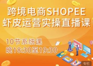 跨境电商Shopee虾皮运营实操直播课,从零开始学,入门到精通(10节系统课)-铭创资源库
