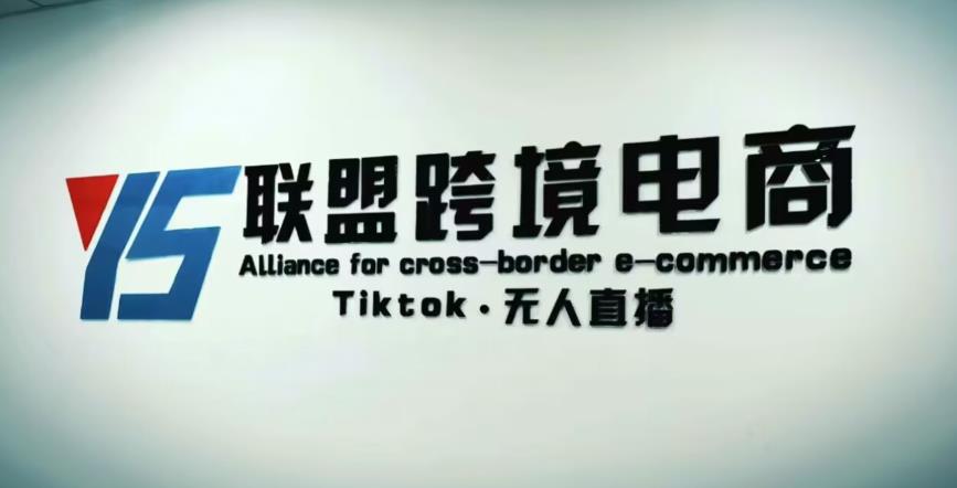 YS联盟·Tiktok无人直播，不出镜不剪辑不拍摄不发货无售后的跨境短视频躺赚玩法-铭创资源库