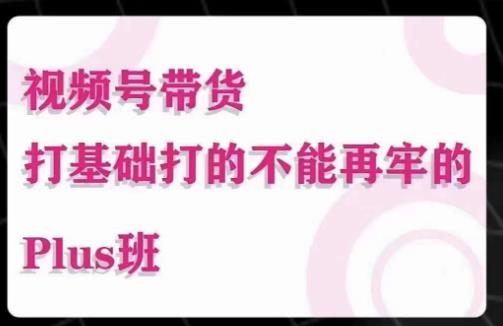 大播汇·视频号带货Puls班，视频号底层逻辑，起号自然流鱼塘等玩法-铭创资源库