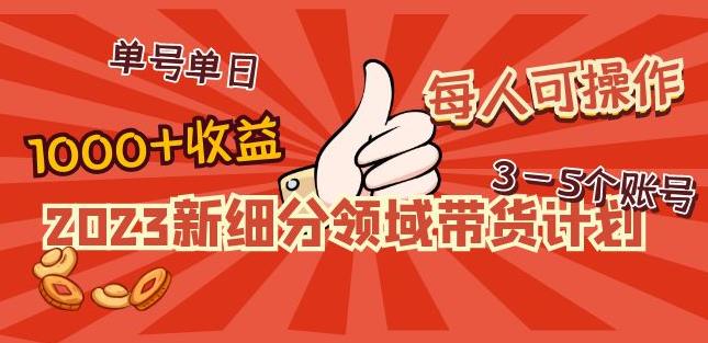 2023新细分领域带货计划：单号单日1000+收益不难，每人可操作3-5个账号-铭创资源库