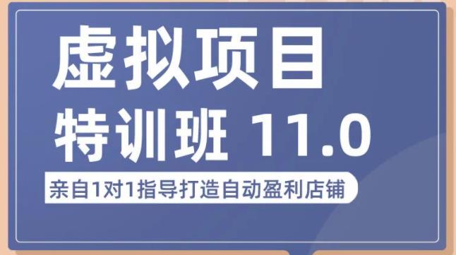 陆明明·虚拟项目特训班（10.0+11.0），0成本获取虚拟素材，0基础打造自动盈利店铺-铭创资源库