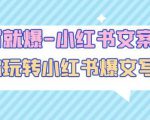 一写就爆-小红书文案课:带你玩转小红收爆文写作(45节课)-铭创资源库