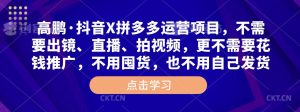 高鹏·抖音X拼多多运营项目,不需要出镜、直播、拍视频,不需要花钱推广,不用囤货,不用自己发货-铭创资源库
