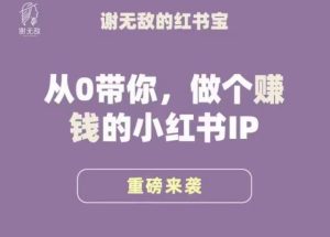 谢无敌·小红书运营大宝典,从0带你做个赚钱的小红书IP-铭创资源库